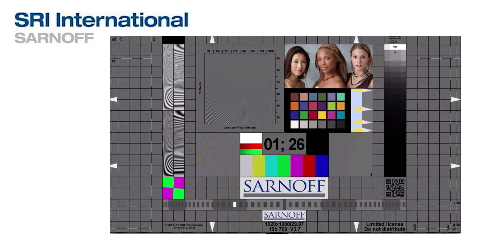 Sarnoff Visualizer and Logo